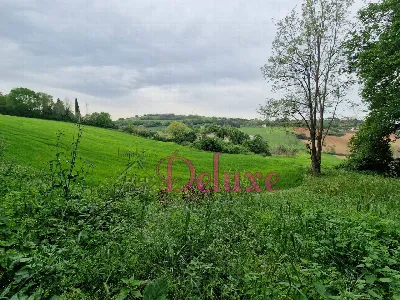 Rustico/Casale in vendita a Montecosaro - foto 5