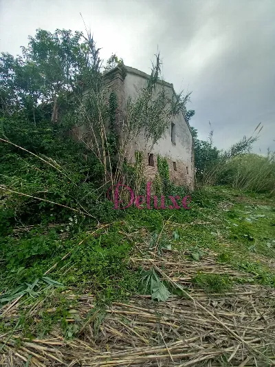 Rustico/Casale in vendita a Montecosaro - foto 7