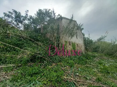 Rustico/Casale in vendita a Montecosaro - foto 8