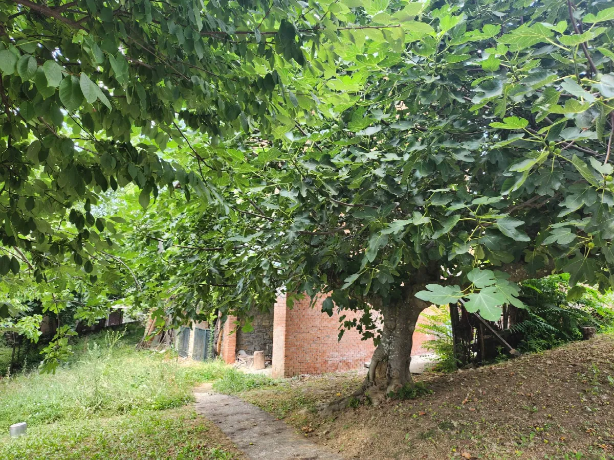 Rustico/Casale in vendita a Prignano sulla Secchia - foto 2