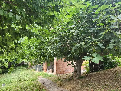 Rustico/Casale in vendita a Prignano sulla... - foto 2