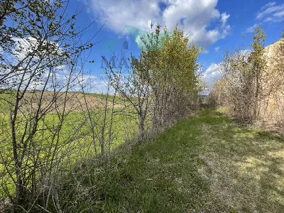 Rustico/Casale in vendita a Cingoli - foto 8