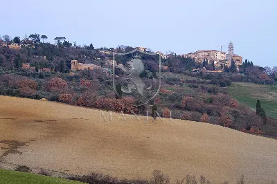 Rustico/Casale in vendita a Pienza - foto 10