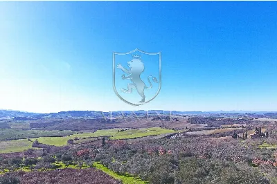 Rustico/Casale in vendita a Pienza - foto 6