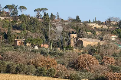 Rustico/Casale in vendita a Pienza - foto 9