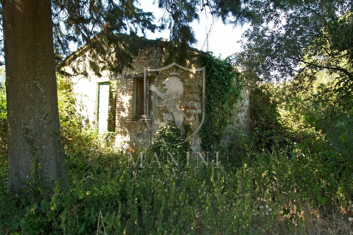 Rustico/Casale in vendita a San Casciano dei Bagni - foto 3