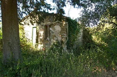 Rustico/Casale in vendita a San Casciano d... - foto 3