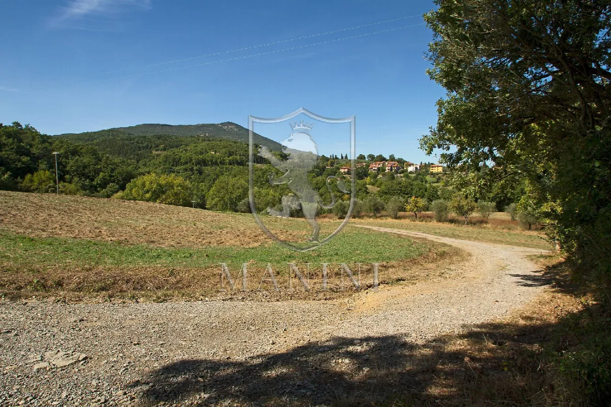 Rustico/Casale in vendita a San Casciano dei Bagni - foto 4