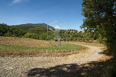 Rustico/Casale in vendita a San Casciano d... - foto 4