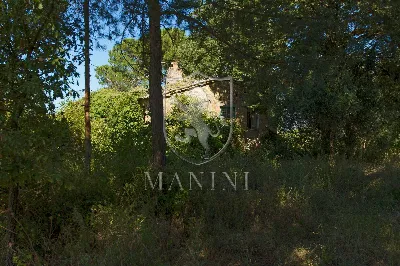 Rustico/Casale in vendita a San Casciano d... - foto 5