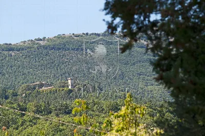 Rustico/Casale in vendita a San Casciano d... - foto 8