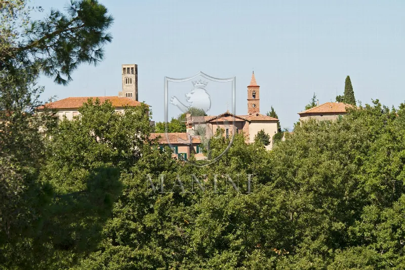 Rustico/Casale in vendita a San Casciano dei Bagni - foto 1