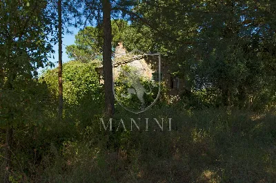Rustico/Casale in vendita a San Casciano d... - foto 6