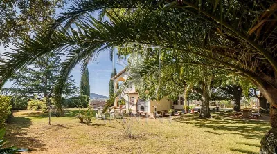 Villa in vendita a Capalbio - foto 8