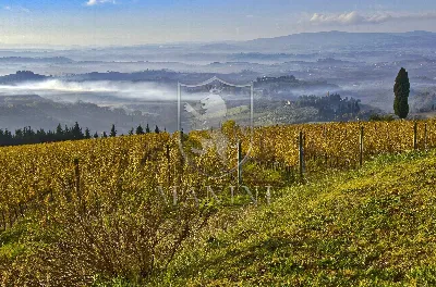 Rustico/Casale in vendita a Certaldo - foto 1