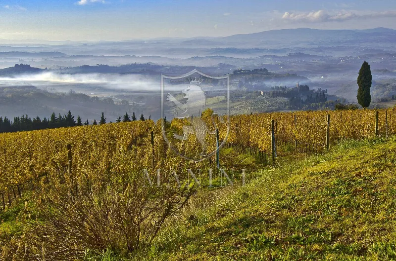 Rustico/Casale in vendita a Certaldo - foto 1