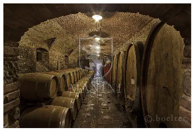 Rustico/Casale in vendita a Certaldo - foto 4