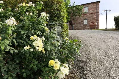 Rustico/Casale in vendita a Torrita di Sie... - foto 9