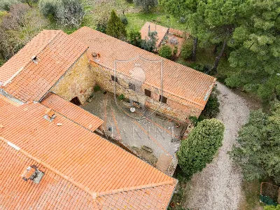 Rustico/Casale in vendita a Trequanda - foto 6