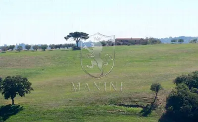 Rustico/Casale in vendita a Torrita di Sie... - foto 10