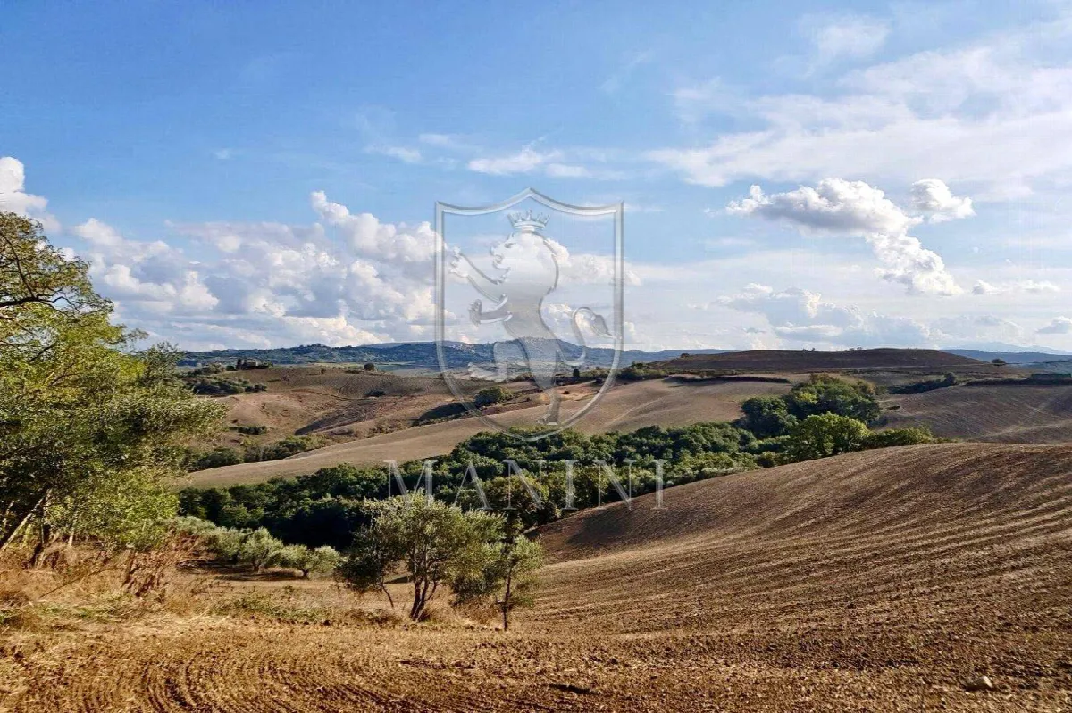 Rustico/Casale in vendita a Torrita di Siena - foto 5