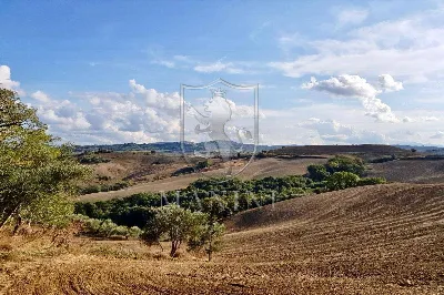 Rustico/Casale in vendita a Torrita di Sie... - foto 5