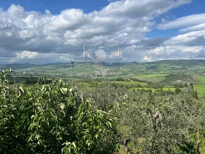 Villa a Radicofani