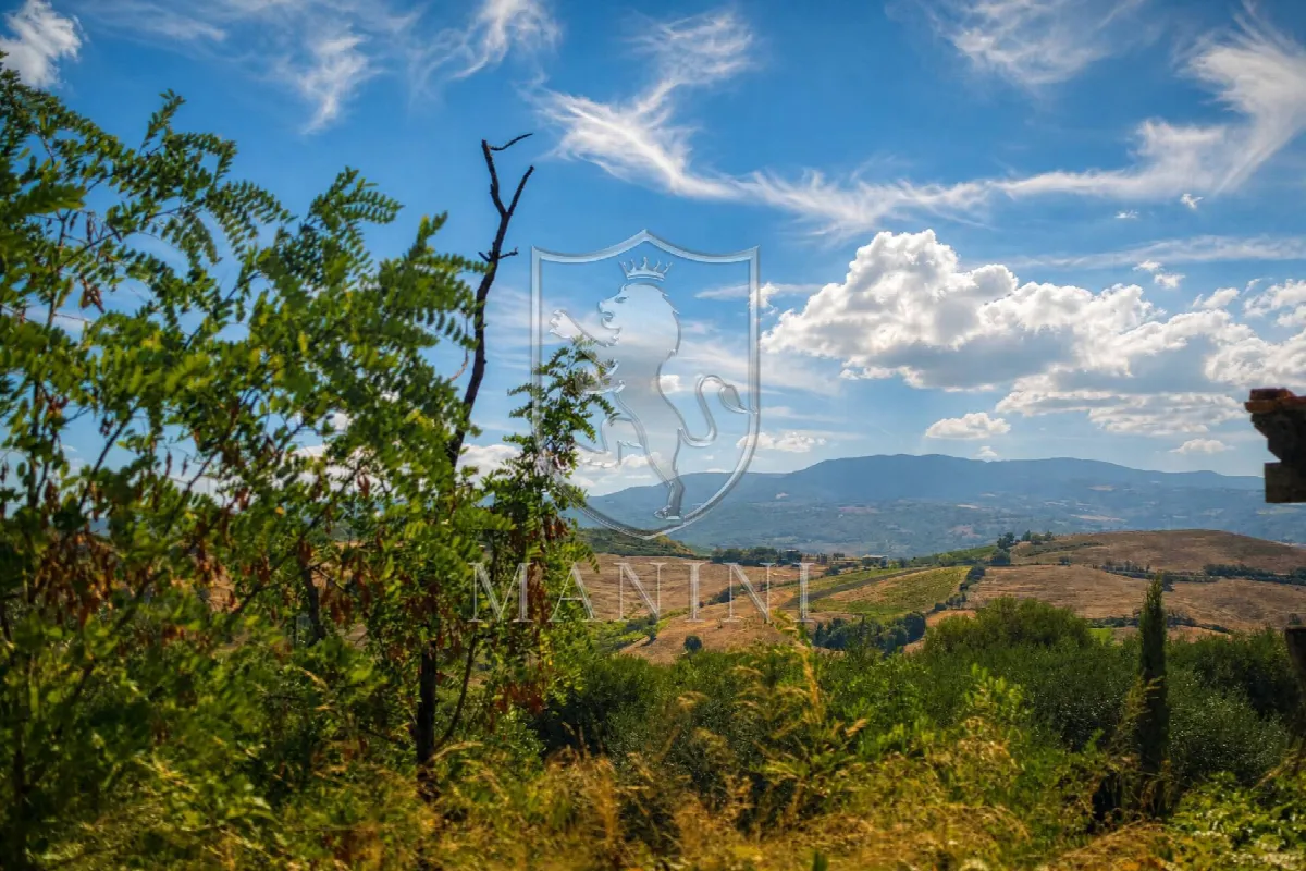 Rustico/Casale in vendita a Cinigiano - foto 5