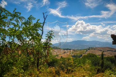 Rustico/Casale in vendita a Cinigiano - foto 5