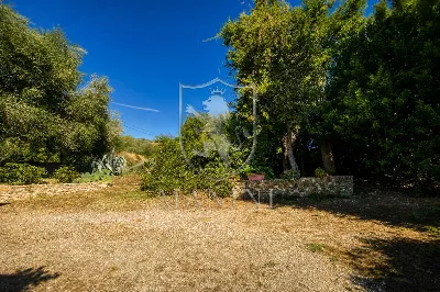 Rustico/Casale in vendita a Cinigiano - foto 6
