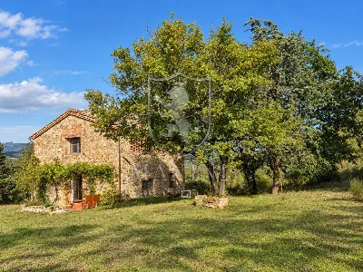 Rustico/Casale in vendita a Montalcino - foto 4