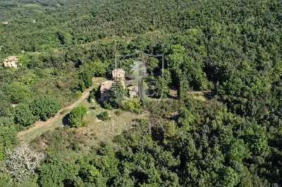 Rustico/Casale in vendita a Montalcino - foto 5