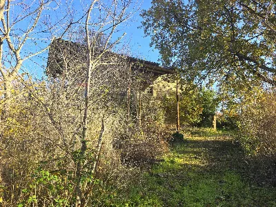 Rustico/Casale in vendita a Morrovalle - foto 3