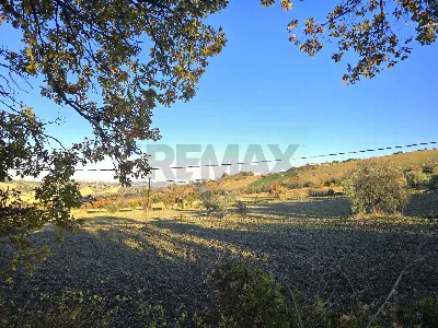 Rustico/Casale in vendita a Morrovalle - foto 8