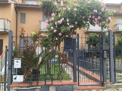 Villa in vendita a Cupra Marittima - foto 1