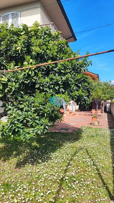 Villa in vendita a Viareggio - foto 10