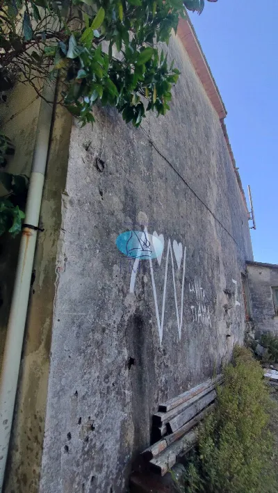 Rustico/Casale in vendita a Viareggio - foto 10