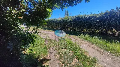 Rustico/Casale in vendita a Viareggio - foto 4