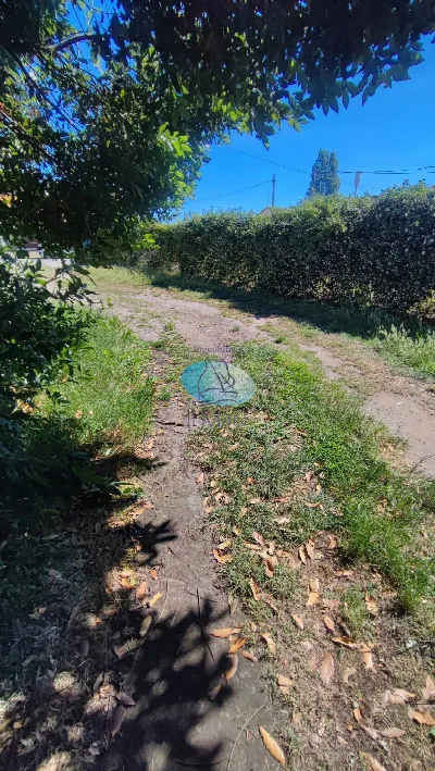 Rustico/Casale in vendita a Viareggio - foto 5