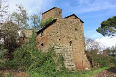 Rustico/Casale in vendita a Vetralla - foto 8