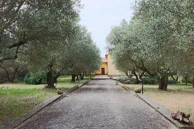 Villa in vendita a Vetralla - foto 3