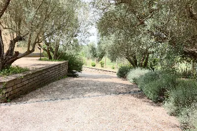 Villa in vendita a Vetralla - foto 6