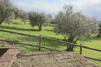 Villa in vendita a Villa San Giovanni in T... - foto 10