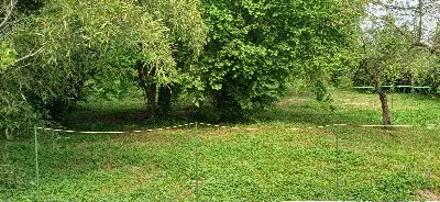 Casa Indipendente in vendita a Cornate d'A... - foto 1