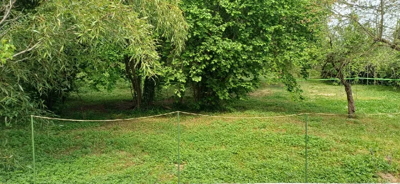 Casa Indipendente in vendita a Cornate d'Adda - foto 1
