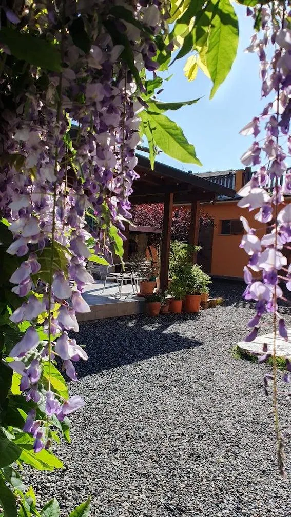 Villa in vendita a Carrodano - foto 5