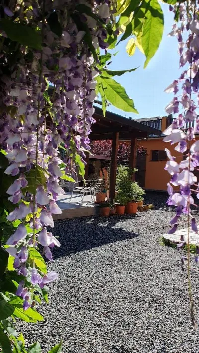 Villa in vendita a Carrodano - foto 5