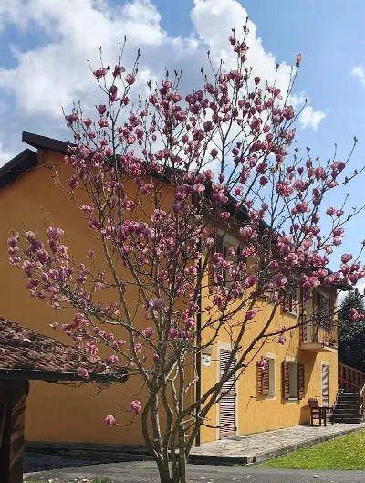 Villa in vendita a Carrodano - foto 6