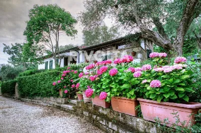 Villa in vendita a Manciano - foto 6