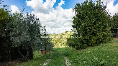 Villa in vendita a Collevecchio - foto 6
